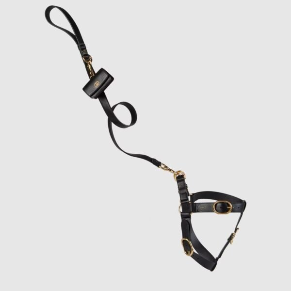 Heritage Pet leash - Lux Studios