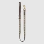Pattern Pet leash - Lux Studios