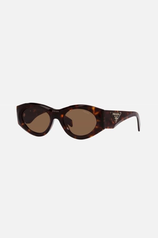 Prada PR20ZS havana bold oval sunglasses - Lux Studios