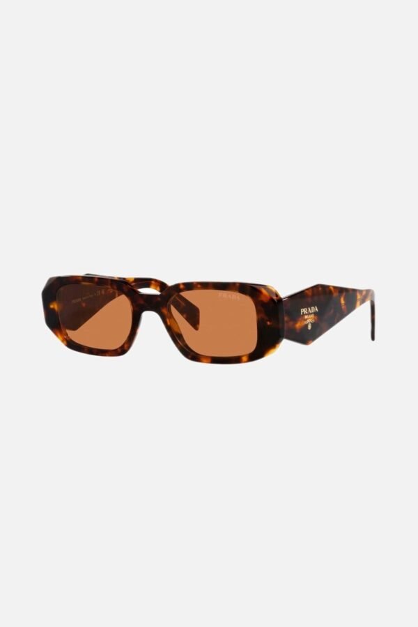 Prada symbol honey oval sunglasses - Lux Studios